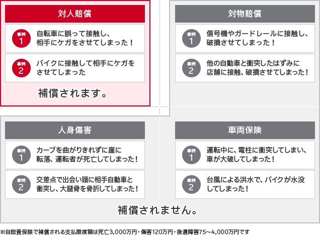 自賠責保険で補償されない内容